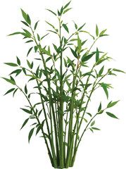bamboo bush with leaves
