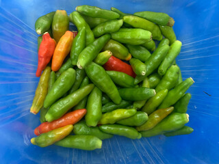 Thai green and red Chili pepper in blue package