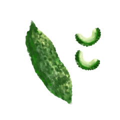 ゴーヤの水彩イラストセット