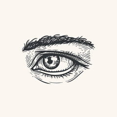 Obraz premium Hand drawn sketch style human eye. Sight, anatomy, makeup, beauty salon symbol. Vintage vector illustration isolate on light background.