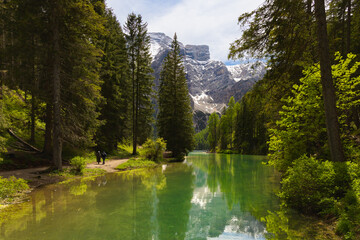 Lago di BraiesA serene view of Lago di Braies with its distinctive green water, surrounded by tall pine trees and a majestic snow-capped mountain in the Dolomites, Italy., Dolomitas, Italia