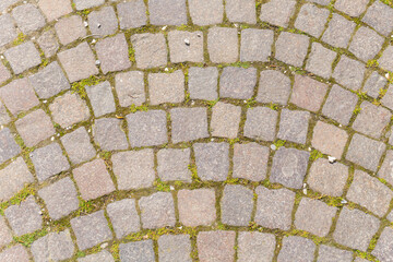 Impressive cobblestone pattern adorned with patches of vibrant green moss