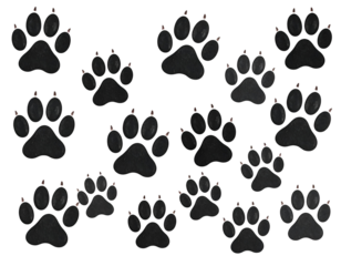 Numerous dark animal paw prints with distinct claws are displayed, suggesting a creature's path.