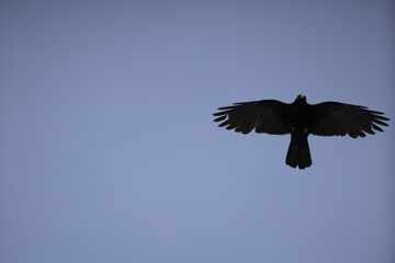 Riga, Latvia 05-09-2024 A Study in Contrasts