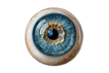 PNG Detailed blue human eyeball with realistic veins and texture