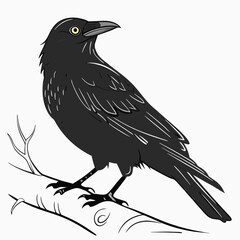 Fototapeta premium Blackbird perched on a branch illustration crow raven