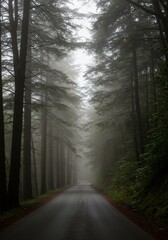 Obraz premium Foggy Forest Road: A Mysterious Path Through Tall Trees