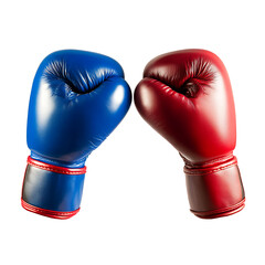 Red and Blue Boxing Gloves: Essential Combat Sports and Fitness Training Gear for Optimal Performance