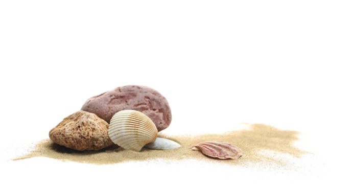 Seashell and stone in sand pile isolated on white background, side view	