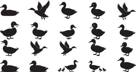 Various duck silhouettes in different poses black white