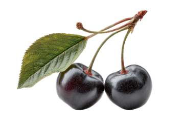 PNG Black cherries with leaf on black background