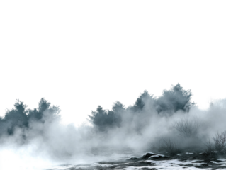 Mysterious fog rolling through a serene forest nature ethereal landscape