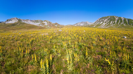 Italy 03 July 2025: aerial view from the drone of the Campo Imperatore plateau in the province of L'Aquila in Abruzzo. Also called Little Tibet, here you can breathe peace and quiet 