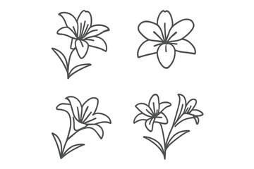 Hand-drawn illustrations of different flower varieties suitable for art projects and educational purposes