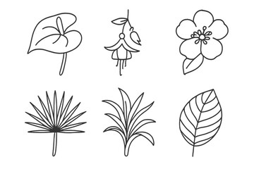 Collection of hand-drawn botanical illustrations featuring various plants and flowers in a minimalistic style on a plain background