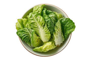 PNG Fresh romaine lettuce in bowl with seasoning