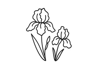 Beautiful outline of iris flowers with delicate petals and slender leaves in a simple design