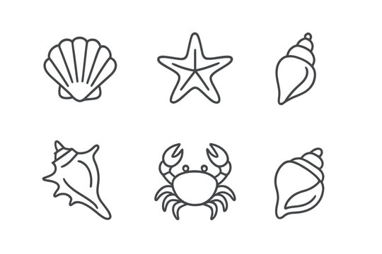 Shell Outline Images – Browse 121,068 Stock Photos, Vectors, and Video ...