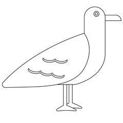 Line art of a tropical bird with simple curves, ideal for jungle-themed artwork, coloring pages, or educational posters.