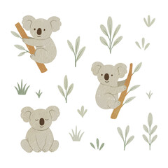 Australian animals png watercolor illustration