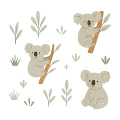 Australian animals png watercolor illustration