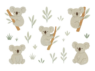 Australian animals png watercolor illustration