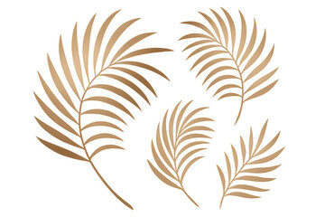 Golden palm fronds spreading luxurious tropical warmth, gleaming against transparent backdrop for sophisticated graphic projects