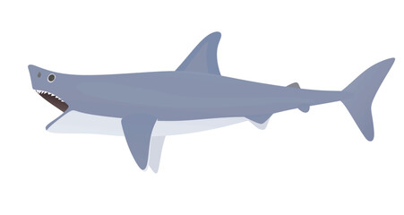 Big shark with open mouth. vector	