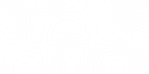 Topo contour map on white background. Abstract background with waves Geographic mountain relief.Abstract lines background. Contour maps