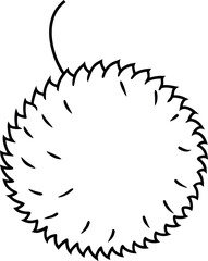 Rambutan with Hairy Skin Unique Exotic Fruit Vector