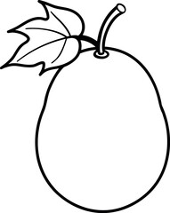 Winter Melon with Leaves Asian Fruit Vector