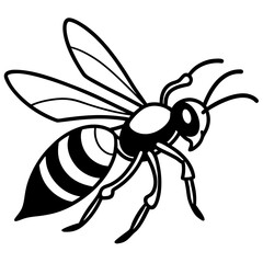 Wasp in attack line art vector illustration 
