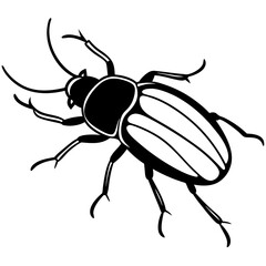 Beetle crawling line art vector illustration 