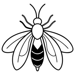 Firefly glowing line art vector illustration 