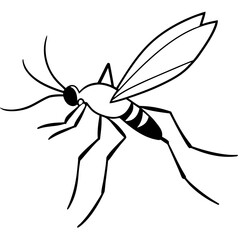 Mosquito flying line art vector illustration
