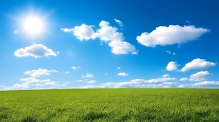 Obraz premium Serene Green Field Under Sunny Blue Sky with Fluffy Clouds