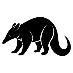 Anteater on white background
