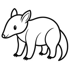 Anteater on white background
