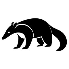 Anteater on white background
