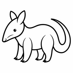 Anteater on white background