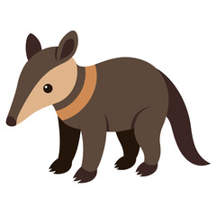 Anteater on white background