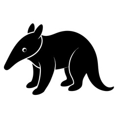 Anteater on white background