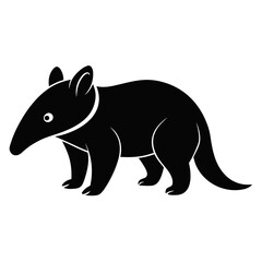 Fototapeta premium Anteater on white background