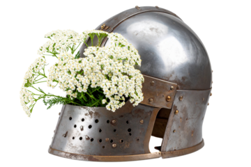 Yarrow Flower Cluster Growing from a Cracked Warrior Helmet, Symbol of Healing and Courage, Isolated on Transparent Background