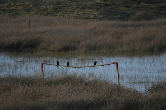 Campo de futbol inundado y porteria posadero de cornejas, Doni&ntilde;os, La Coru&ntilde;a, Spain