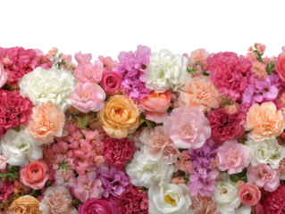 Vibrant flower arrangement display floral bright light