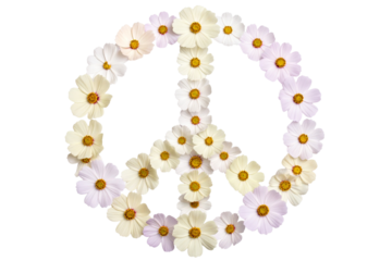 Floating Cosmos Petals Forming a Peace Symbol in Air, Harmony Concept, Isolated on Transparent Background