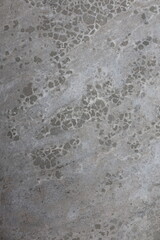 Close-up of weathered concrete surface with intricate crack patterns