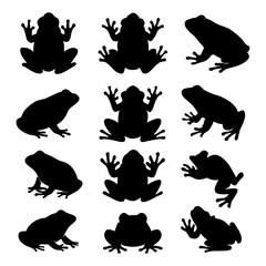 Naklejka premium A collection of twelve frog silhouettes in various poses.