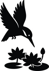 Silhouette kingfisher bird drinking water from lotus flower vector illustration